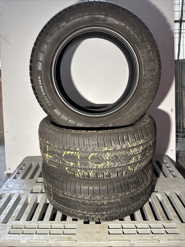 Michelin agilis 225 - michelin, c